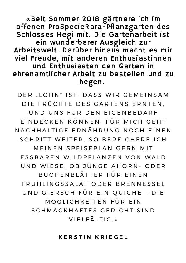 kerstin_kriegel_text.pdf